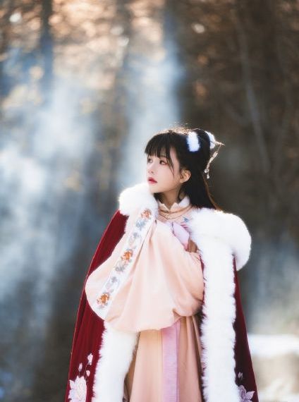 丰满人妻一区二区三区四区仙踪林_超清在线观看完整版